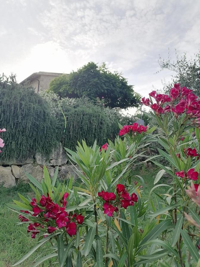 B&B Coldifiore Penna in Teverina Luaran gambar