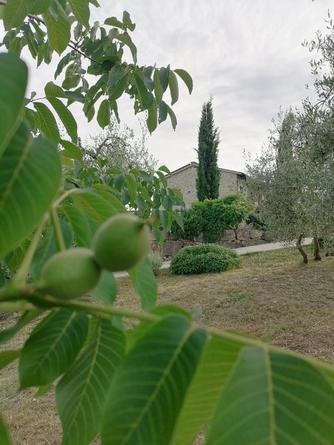 B&B Coldifiore Penna in Teverina Luaran gambar