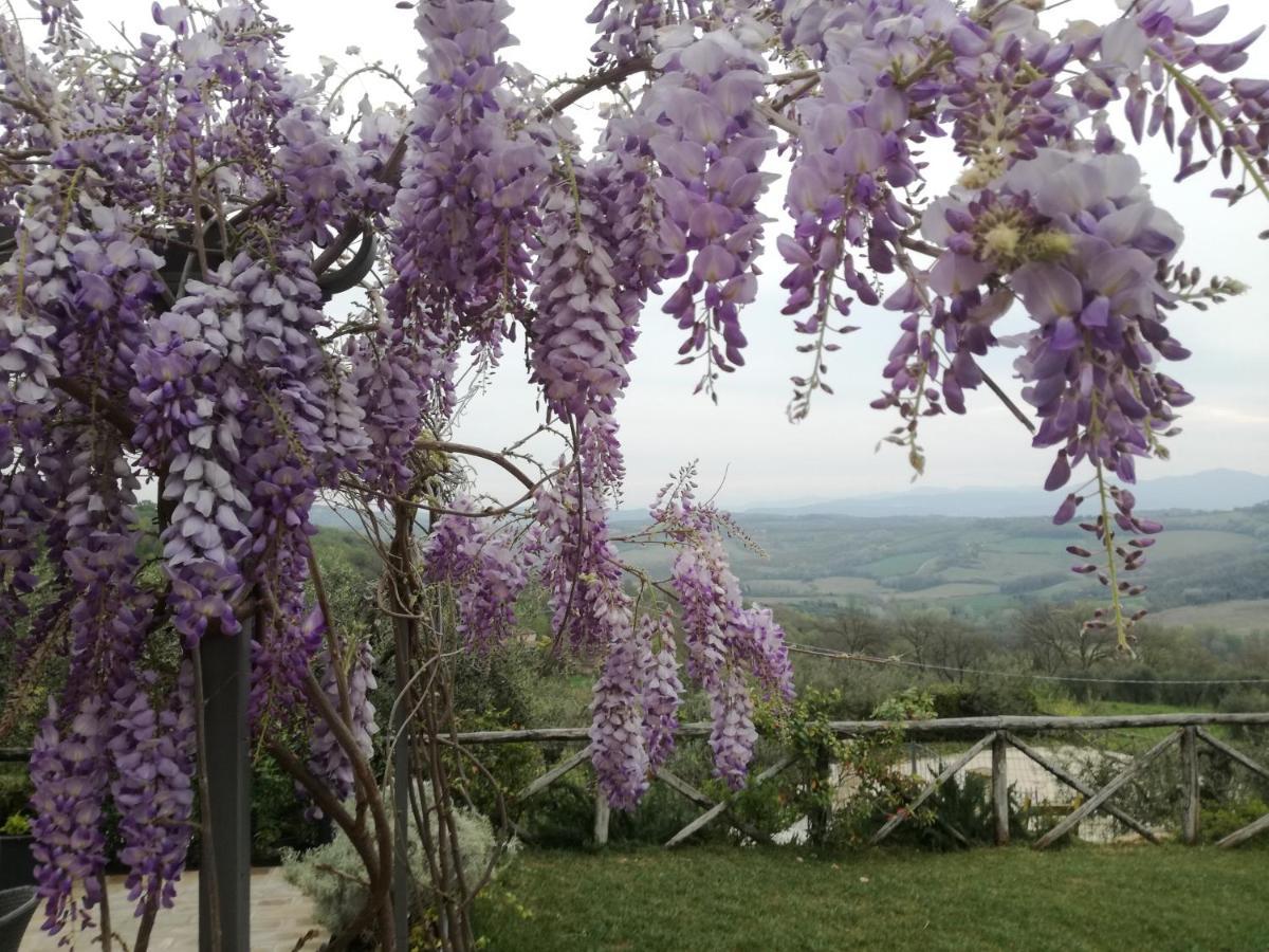 B&B Coldifiore Penna in Teverina Luaran gambar