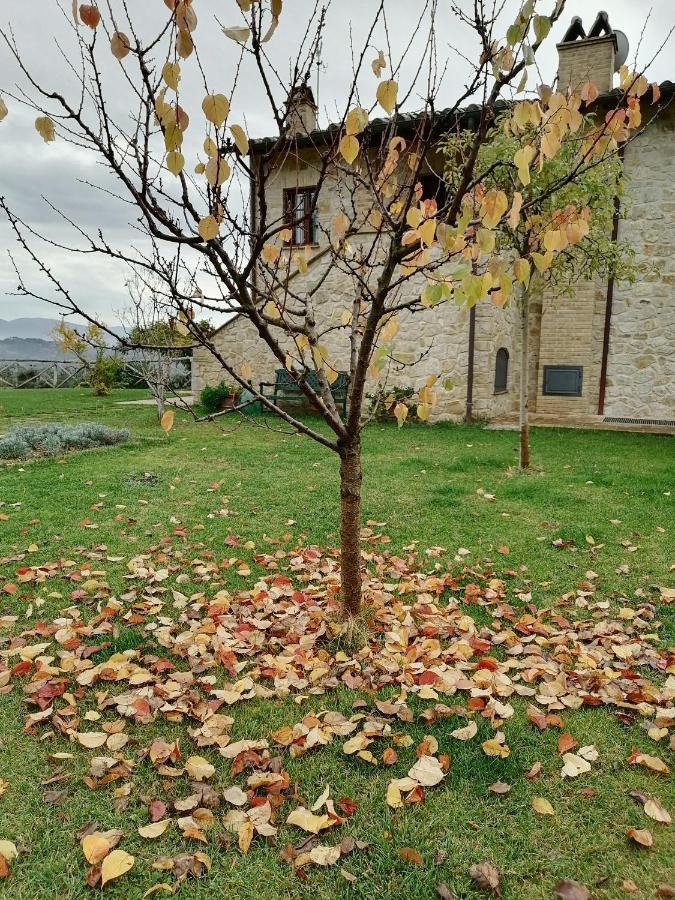 B&B Coldifiore Penna in Teverina Luaran gambar
